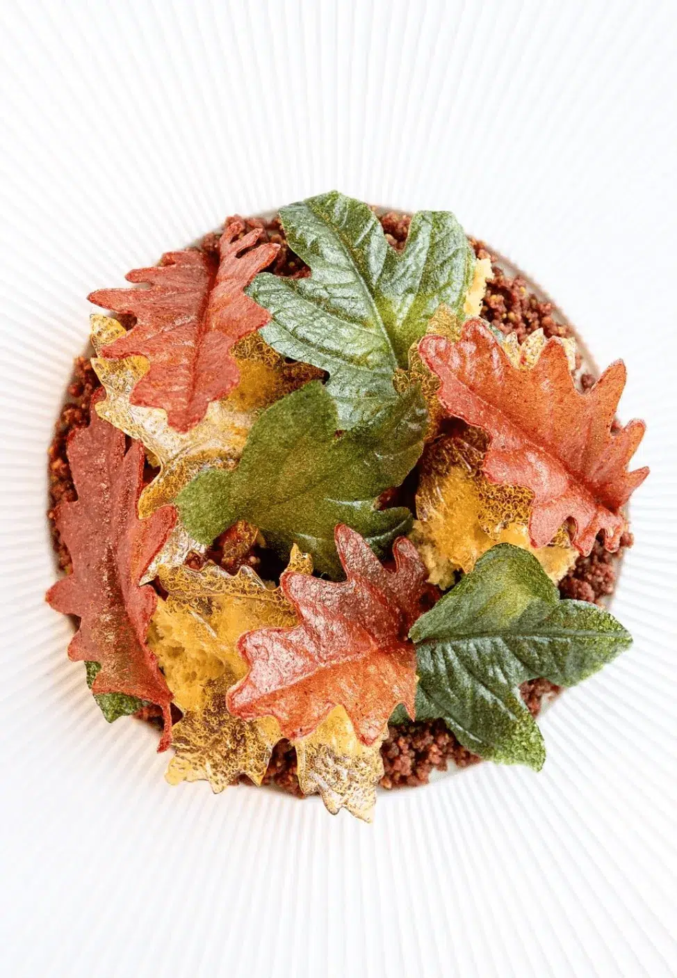 Leaf Pressing Kit