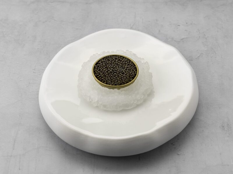 Caviar Ice Mold