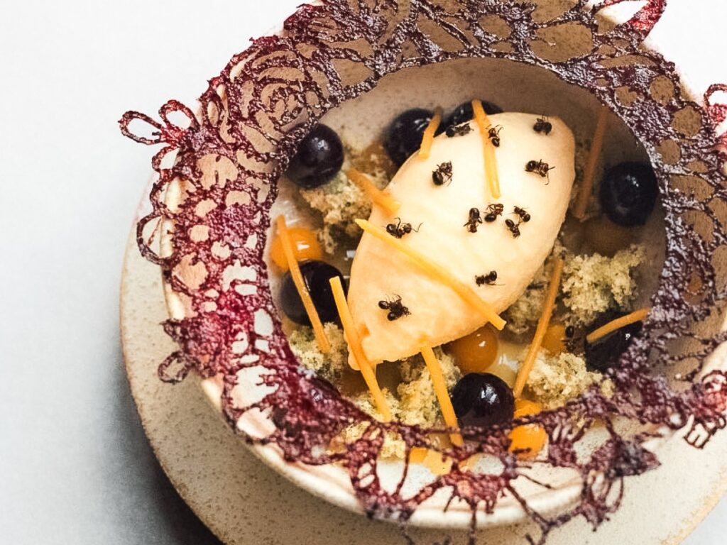 Autumn Ring Mold MoldBrothers