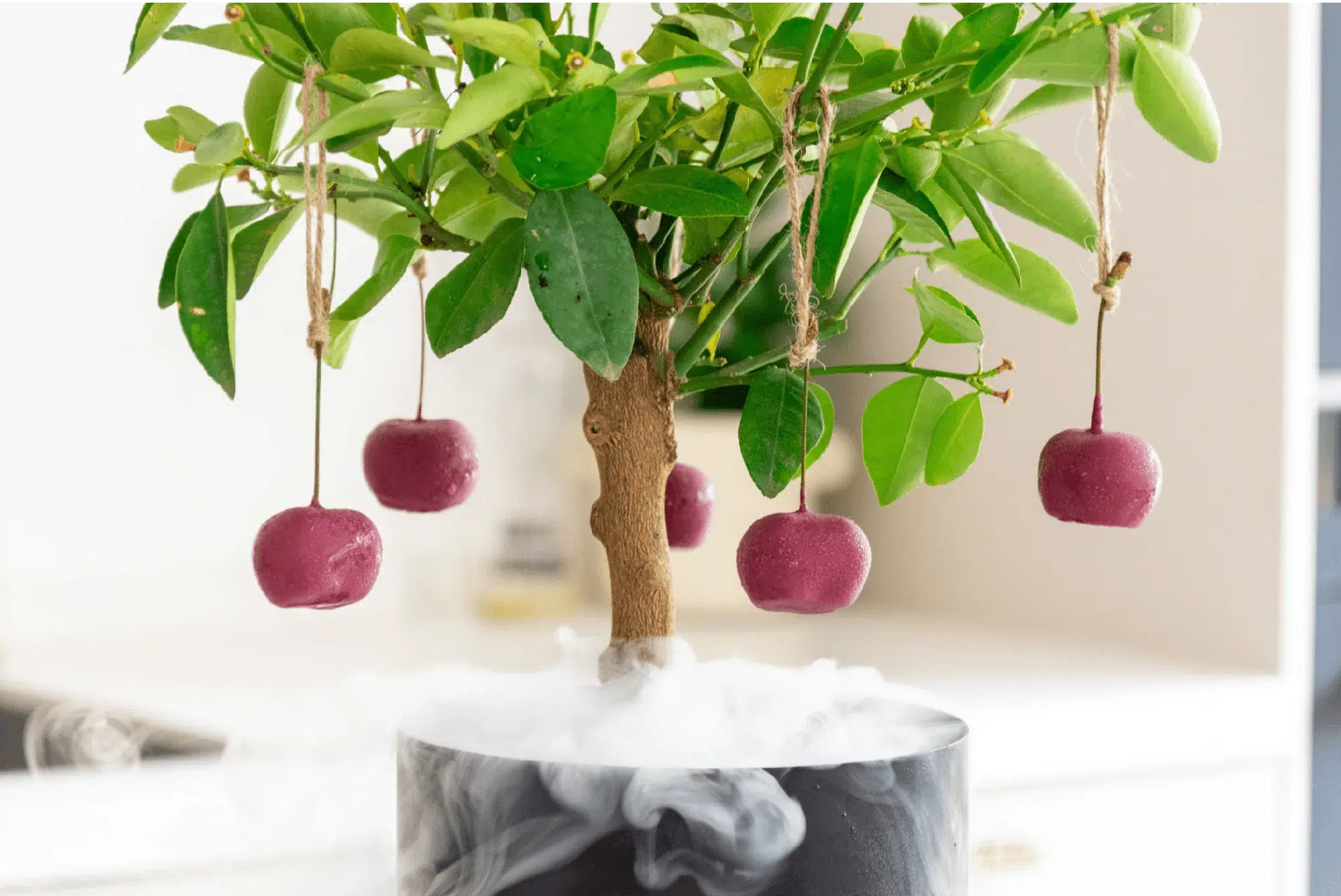 Cherry Mold