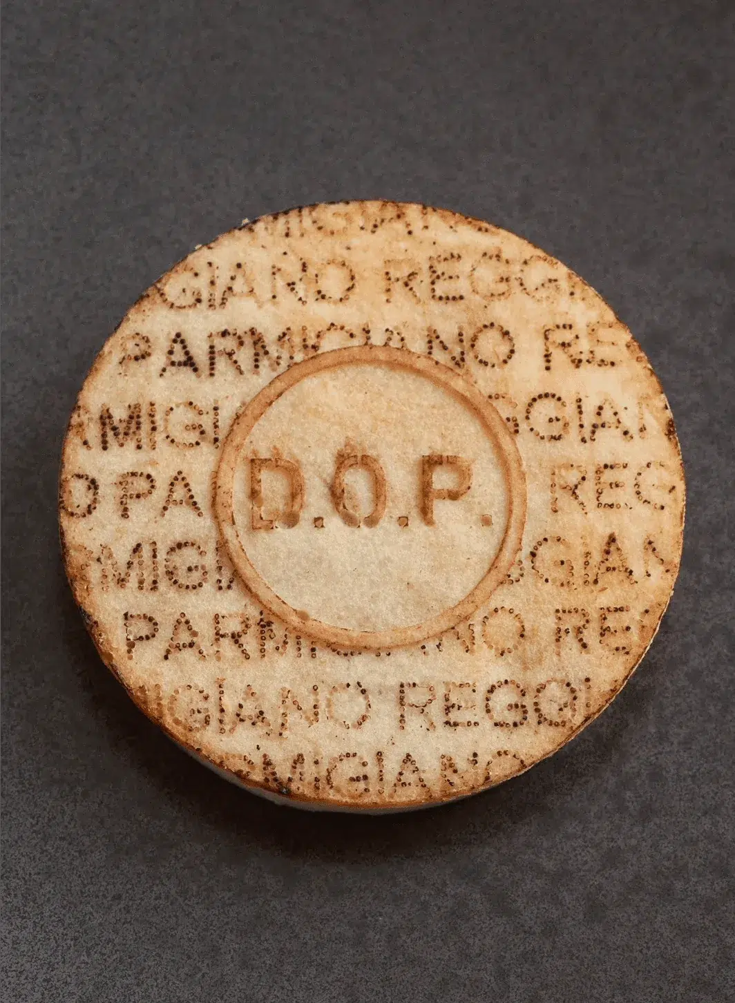 Parmigiano Mold