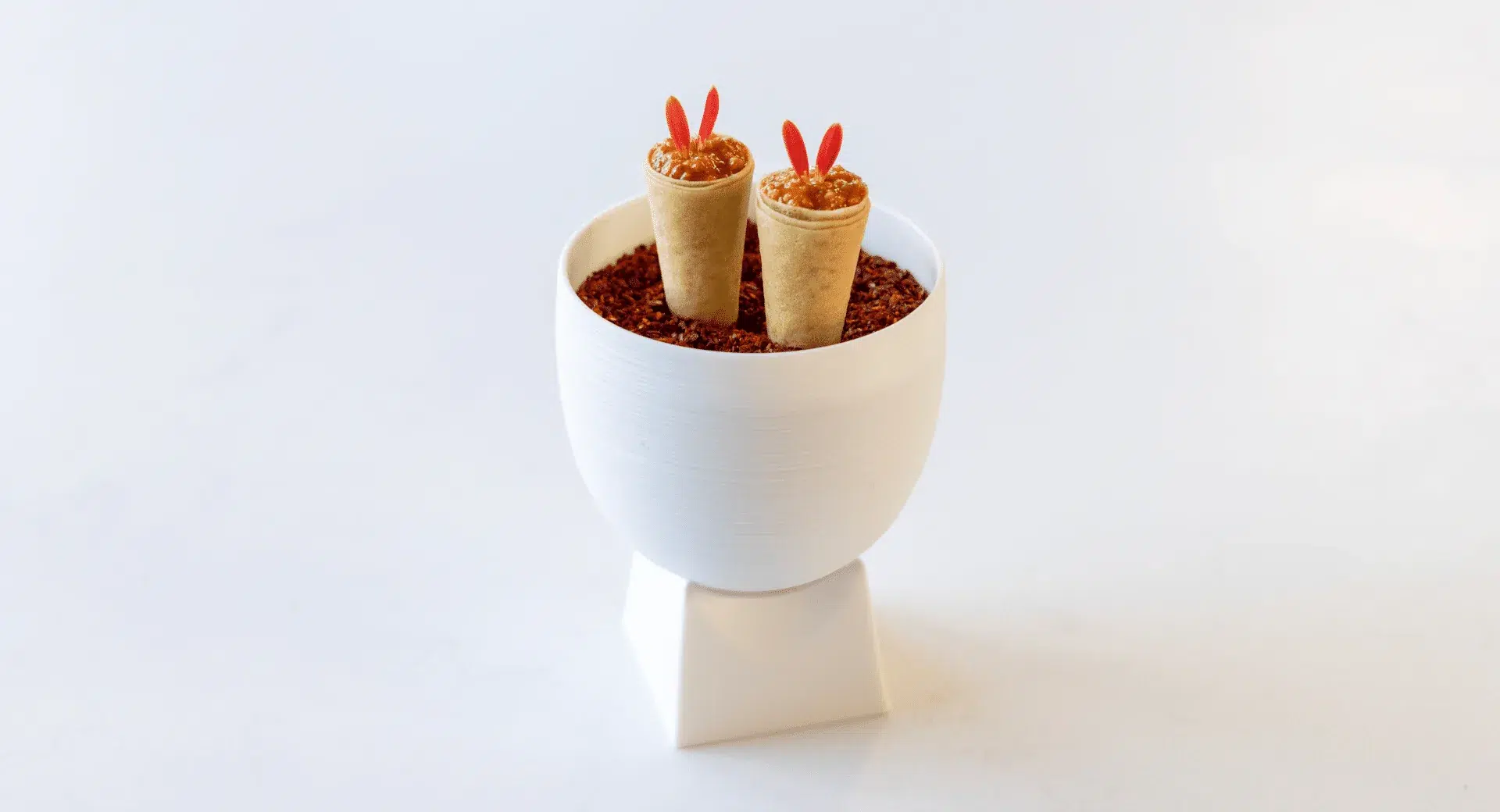 Plantilla de cono