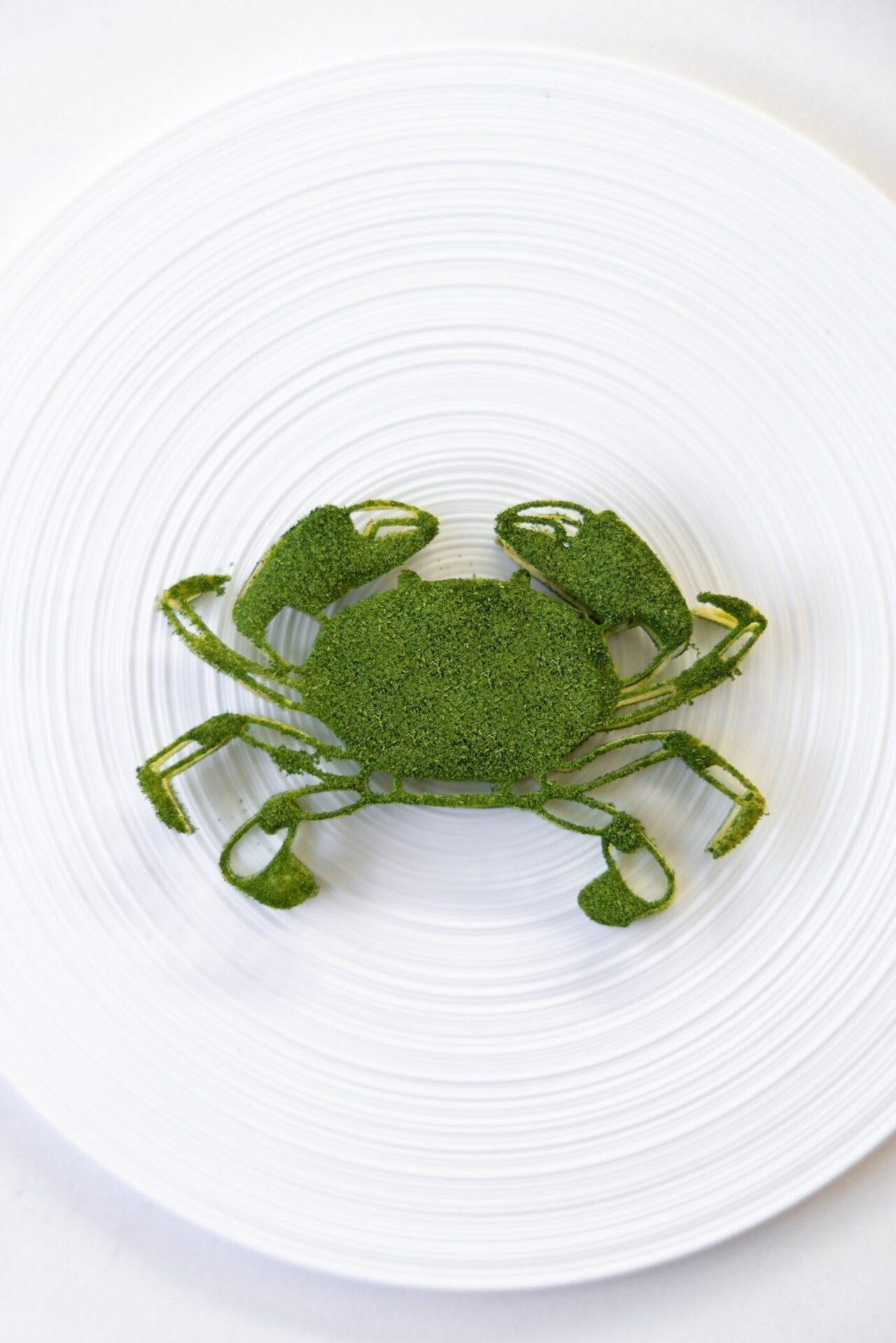 Crab Tuille Mold