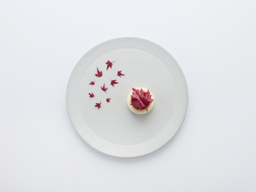 Vallende Esdoorn Siliconenplaat Stencil