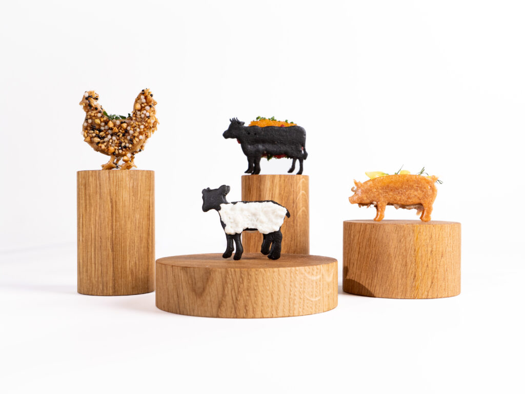 Collezione animali Molds