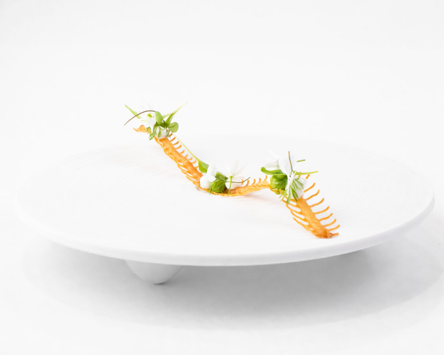 Unagi Tuille Mold