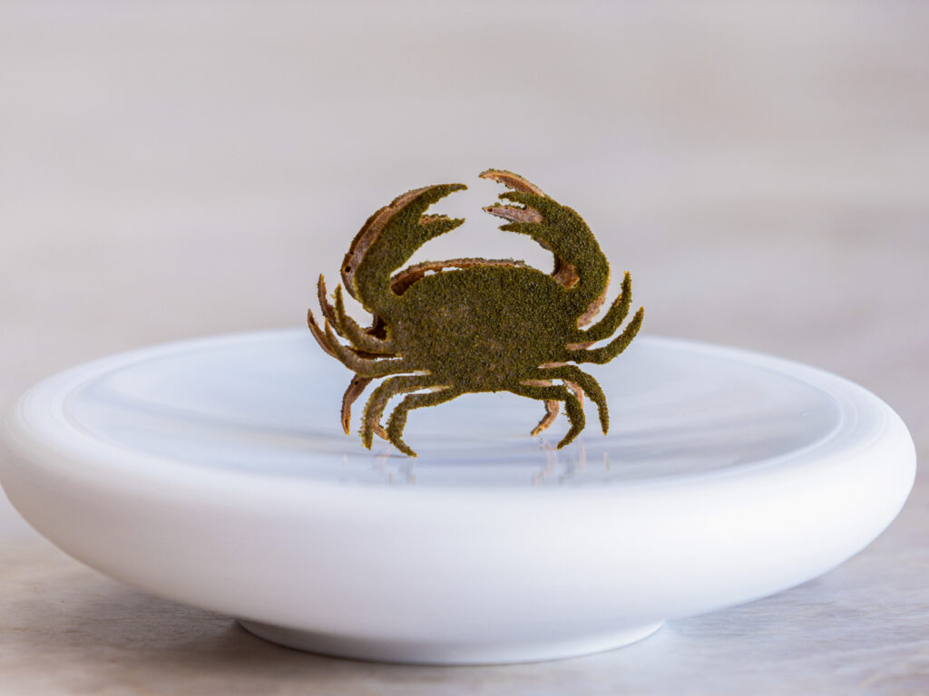 Braune Krabben Tuille Mold