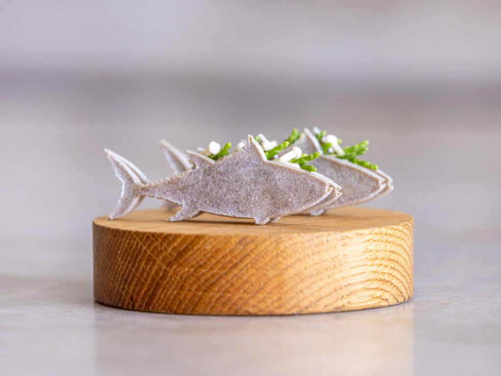 Thunfisch Tuille Mold