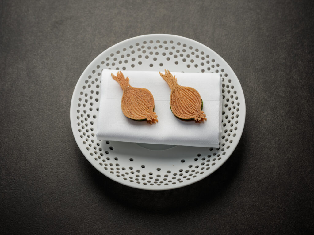 Realistic Onion Tuille Mold