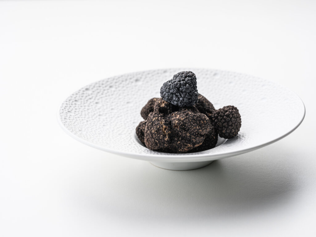 Black Truffle Mold Small