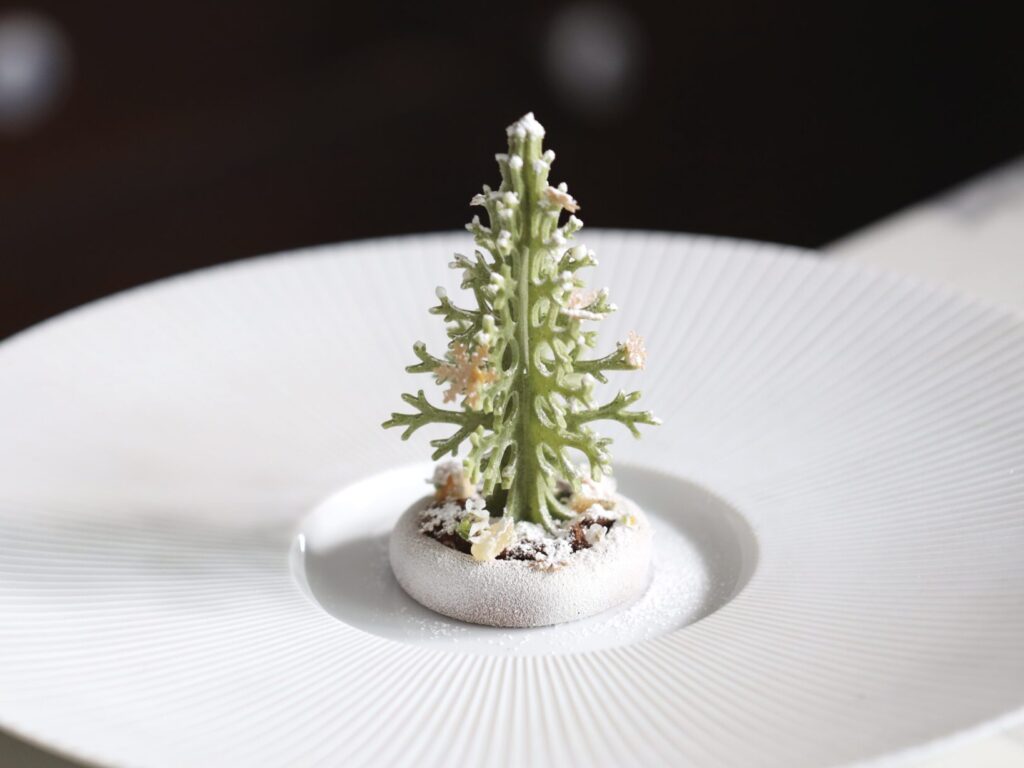 Christmas Tree Tuille Mold