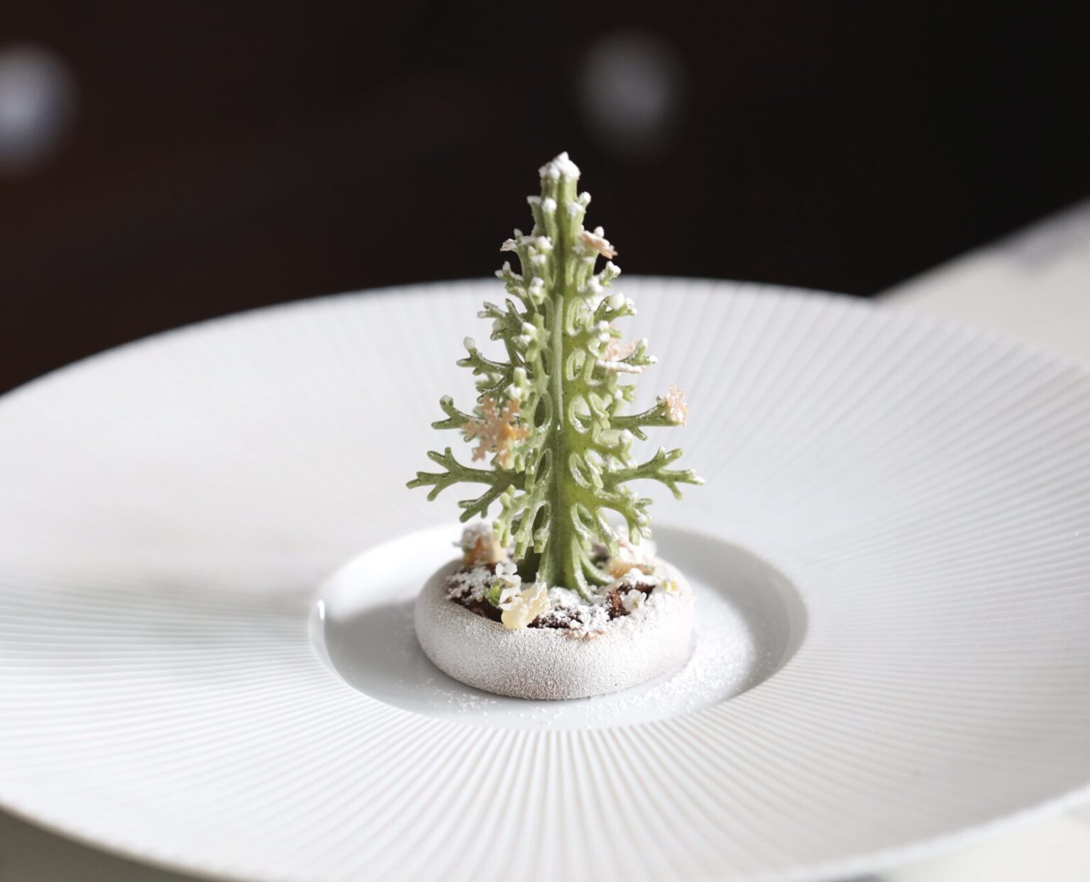 Christmas Tree Tuille Mold