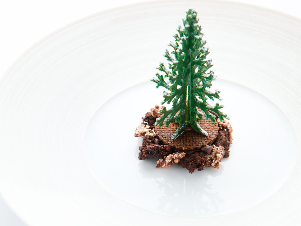 Christmas Tree Tuille Mold