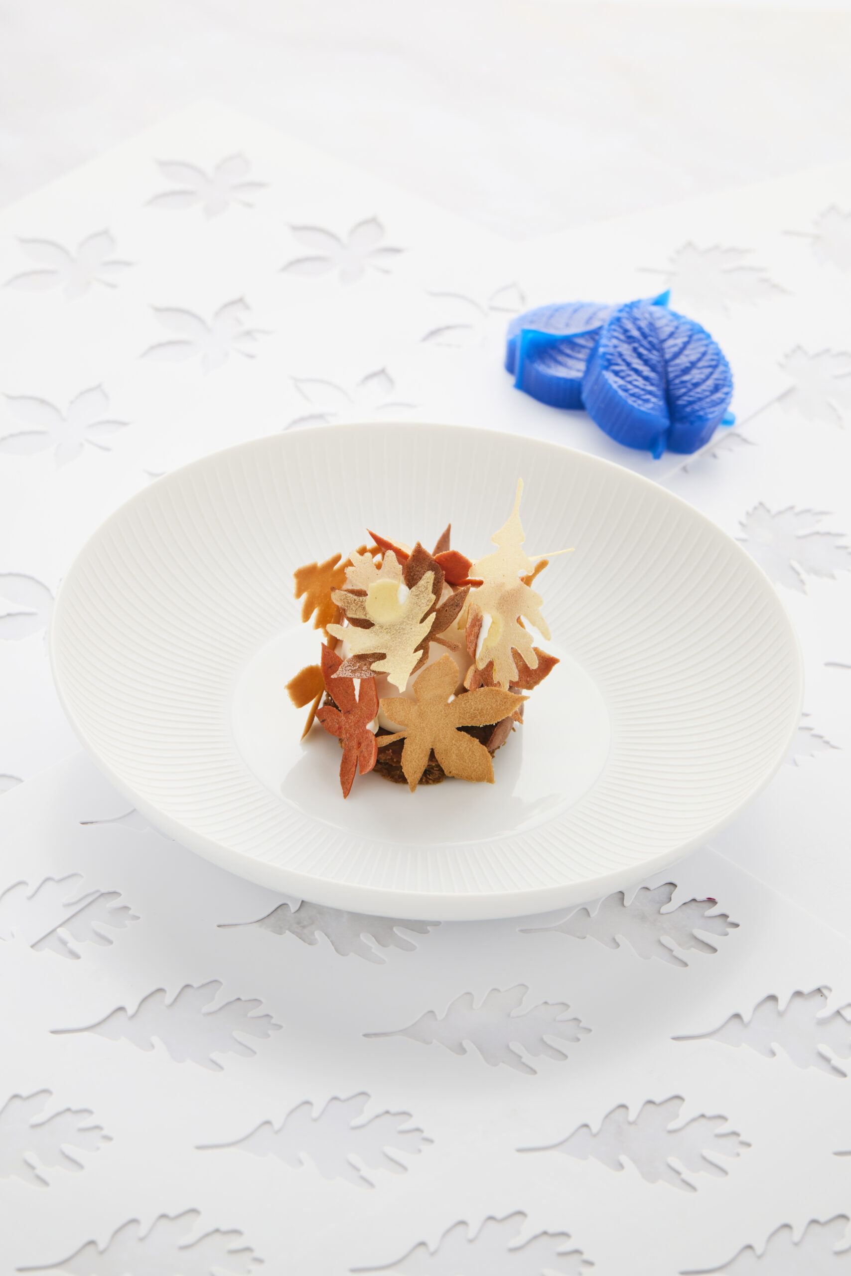 Leaf Stencil Case