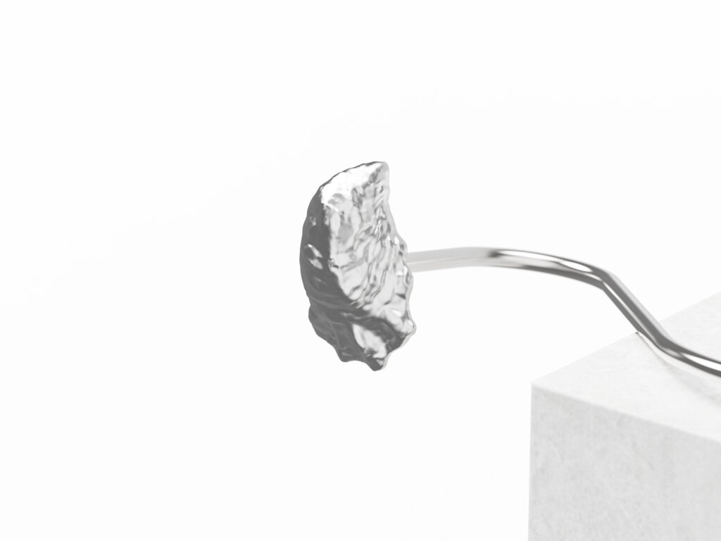 Maglietta con torta di ostriche realistica