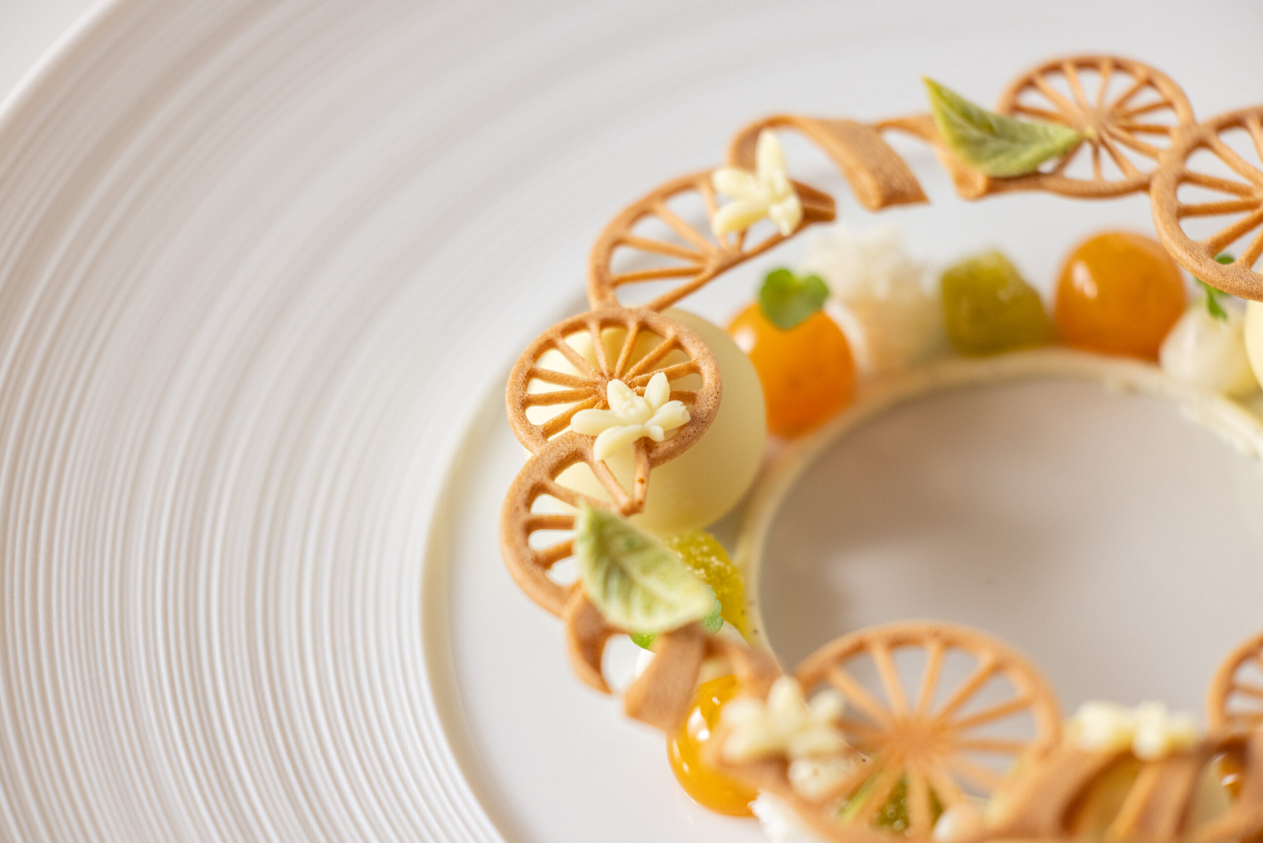 Citrus Ring Tuille Molds