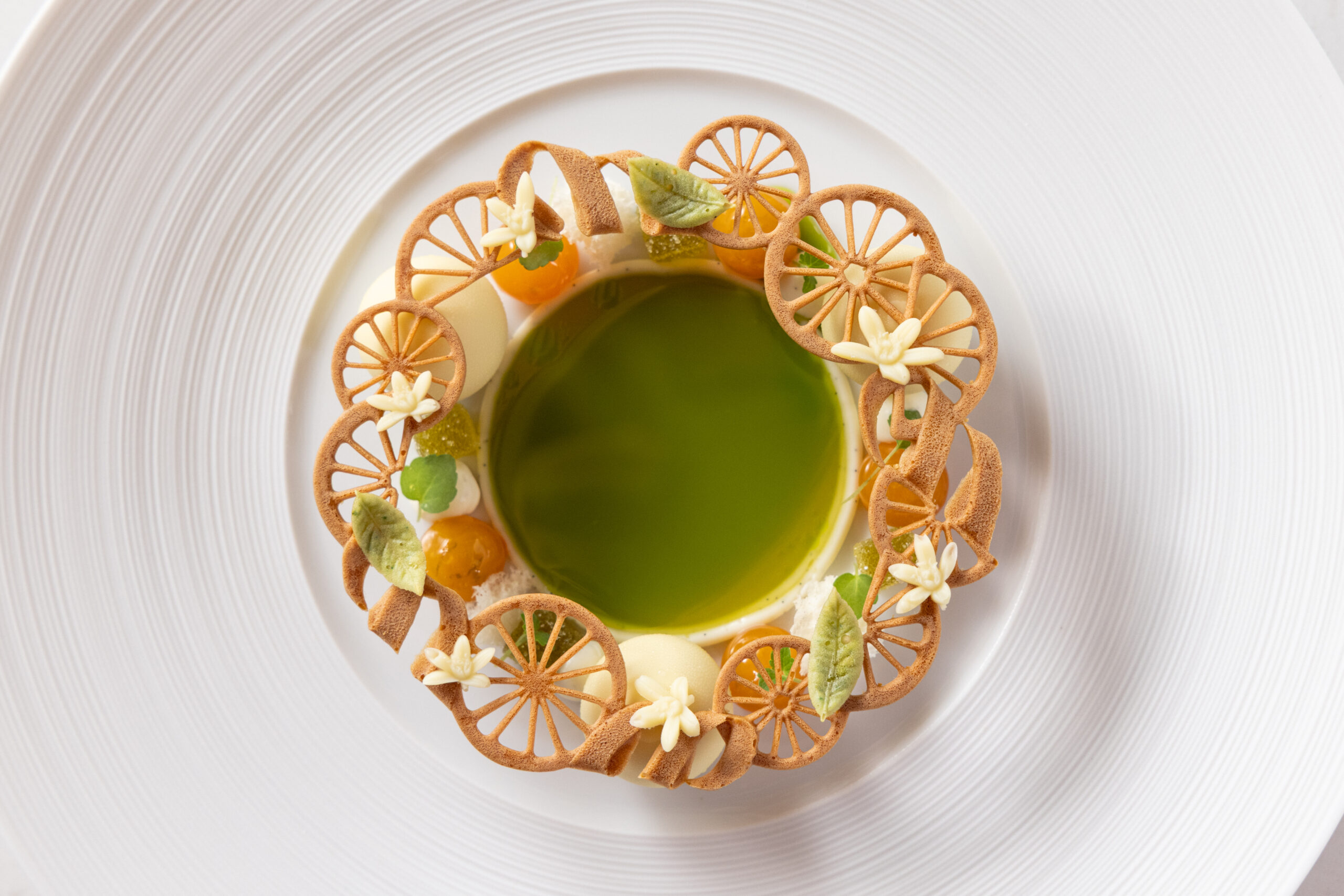 Citrus Ring Tuille Molds