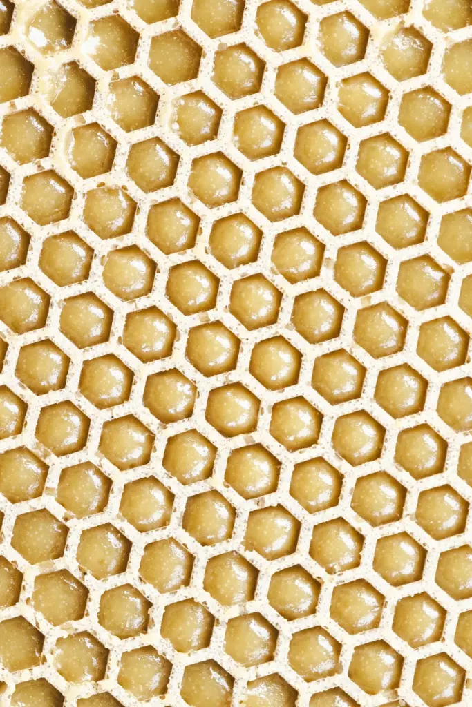 Honey Grid Tuille Sheet