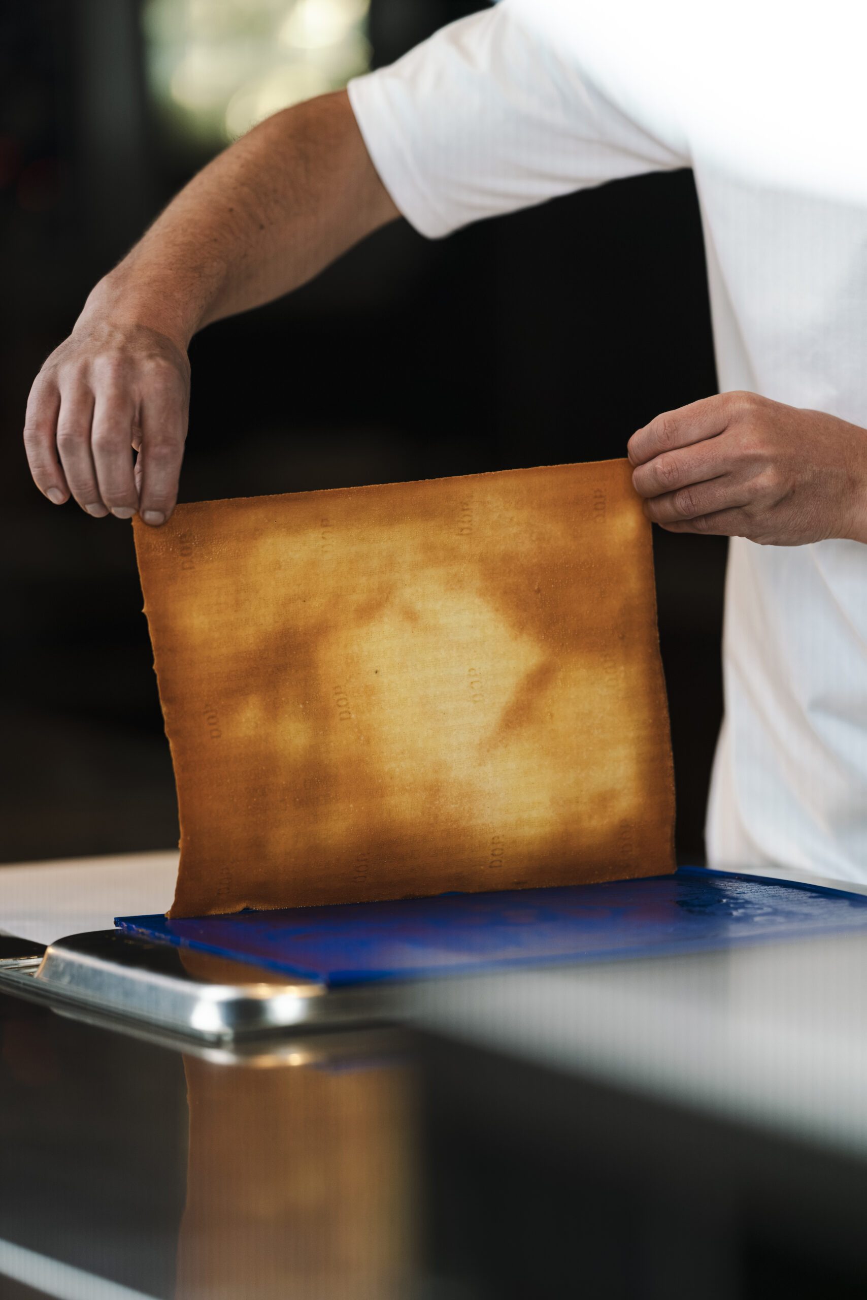 Parmesan Tuille Sheet