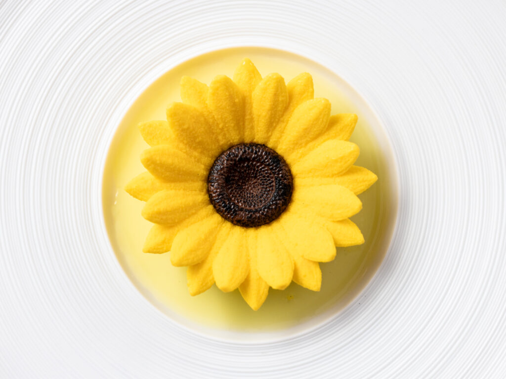 Sunflower Mold Set