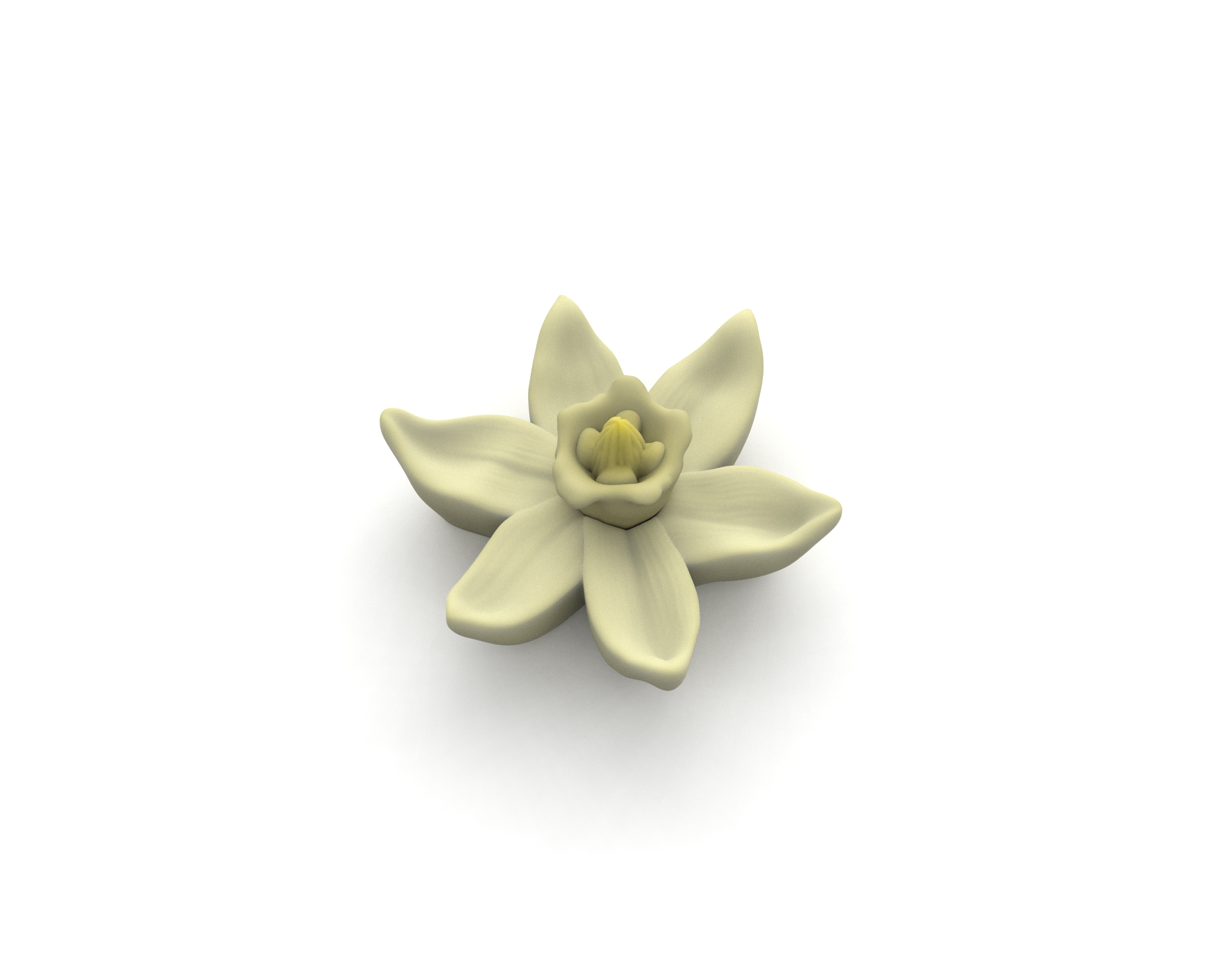 Vanilla Flower Mold Set