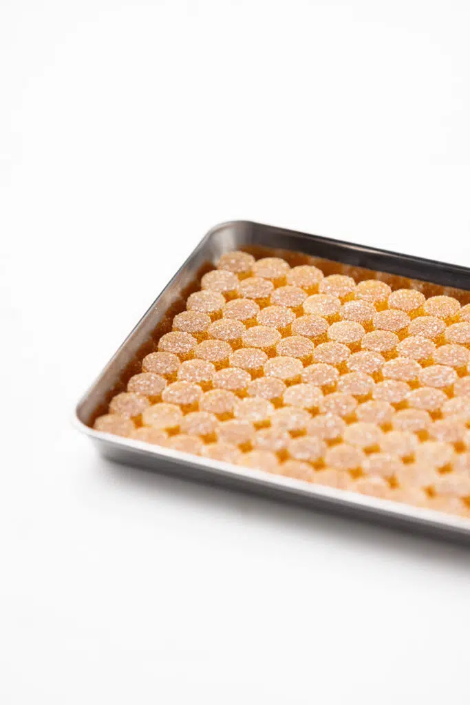 Cylinder Pâte de Fruit Mold