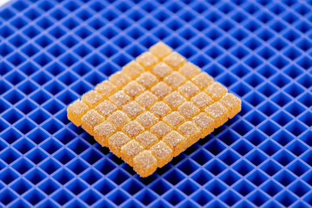 Cube Pâte de Fruit Mold