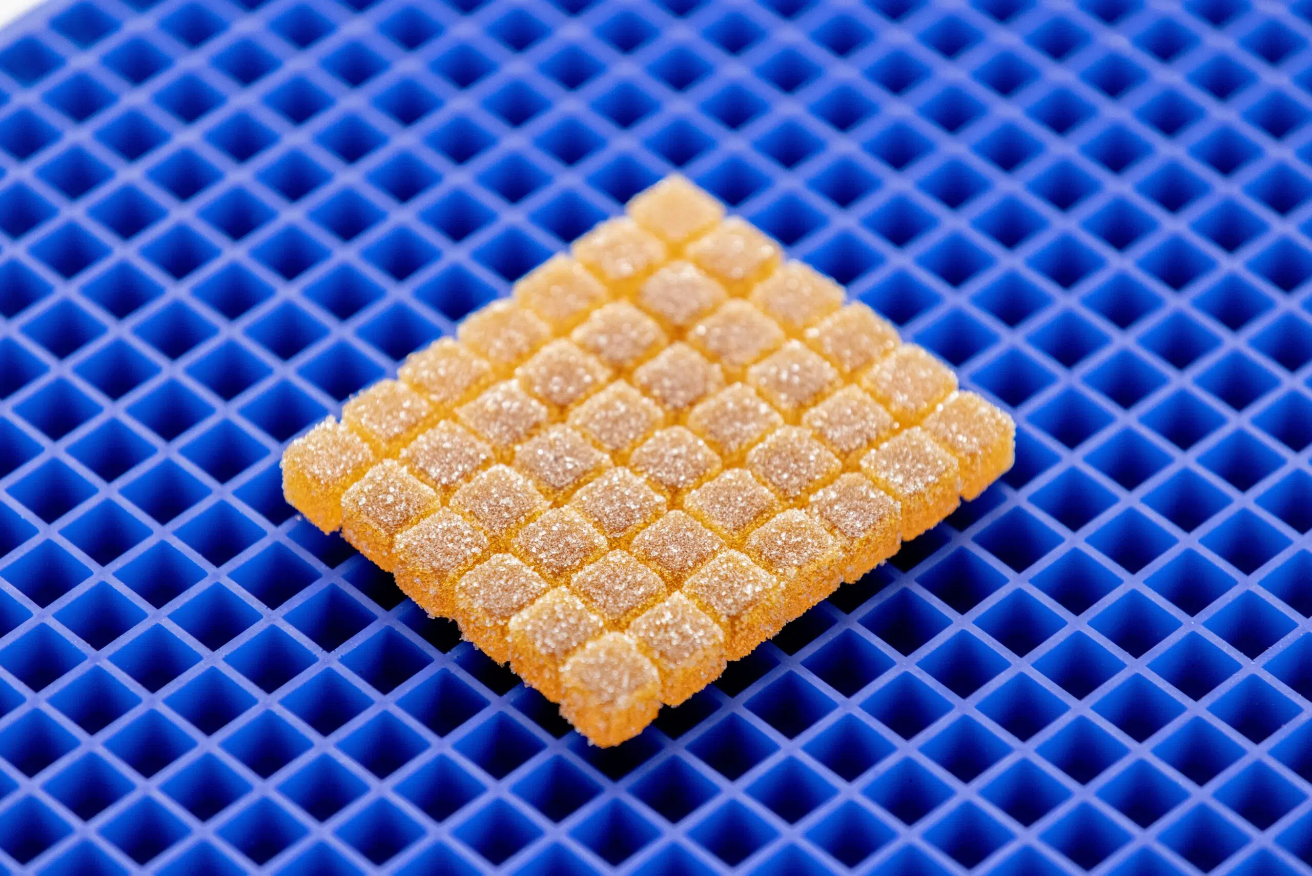 Cube Pâte de Fruit Mold