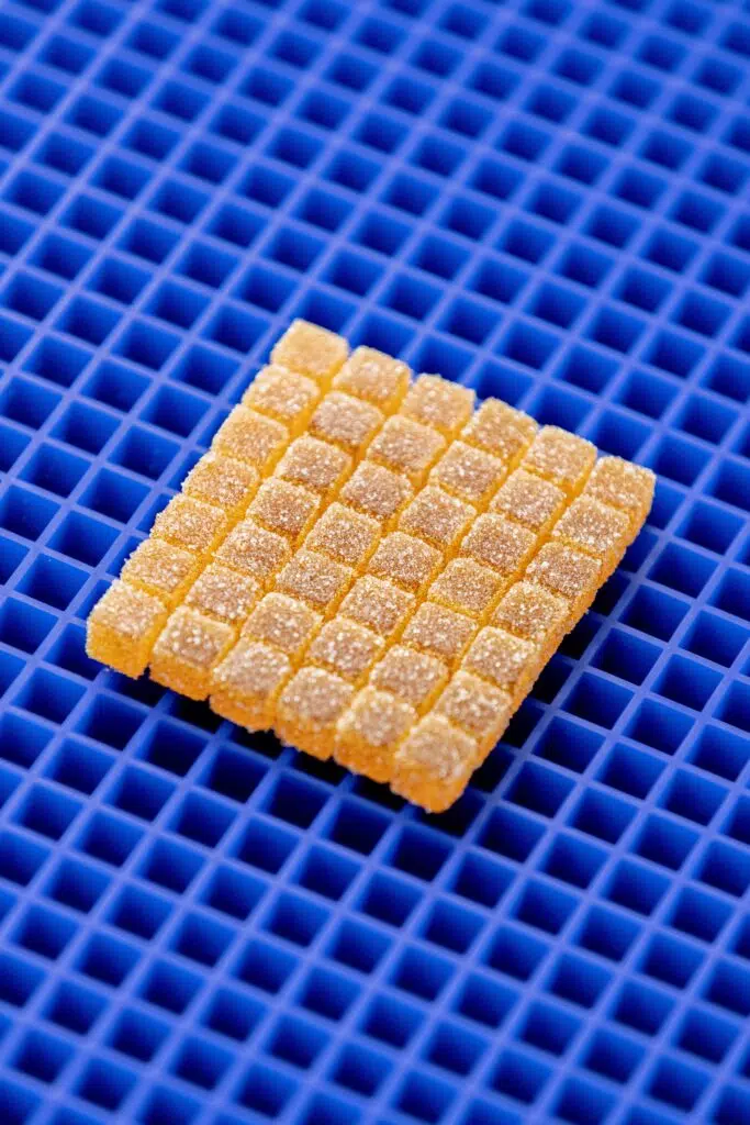 Cube Pâte de Fruit Mold